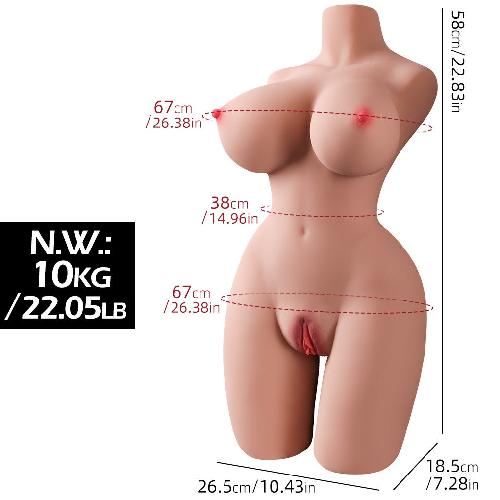 Torso kurvig (EL-Doll 58 cm e-cup Tpe) EXPRESS
