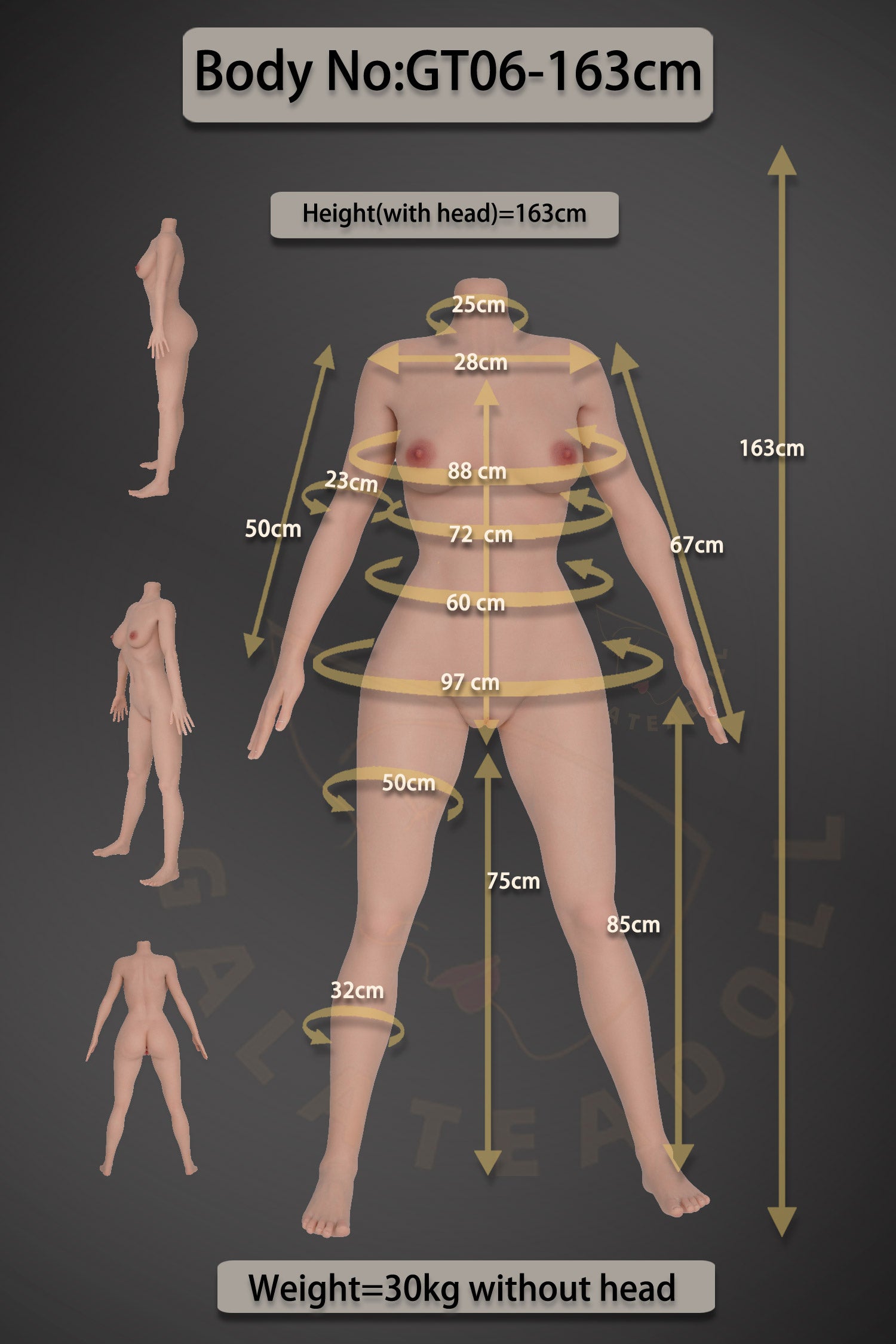 Amanda Sex doll (Galatea Doll 163cm d-cup #135 silicone)