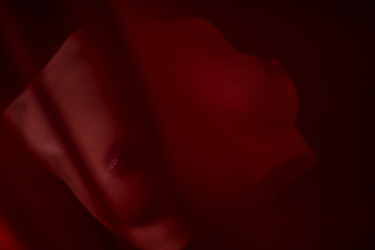 Chest (S) Torso Sex doll (Climax Doll Pro B-cup silicone)