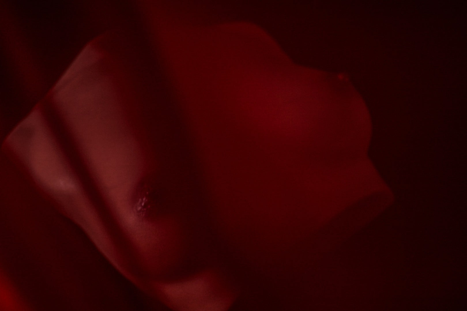 Brüste (en) Torso sexpuppe (Climax Doll Pro B-cup Silikon)