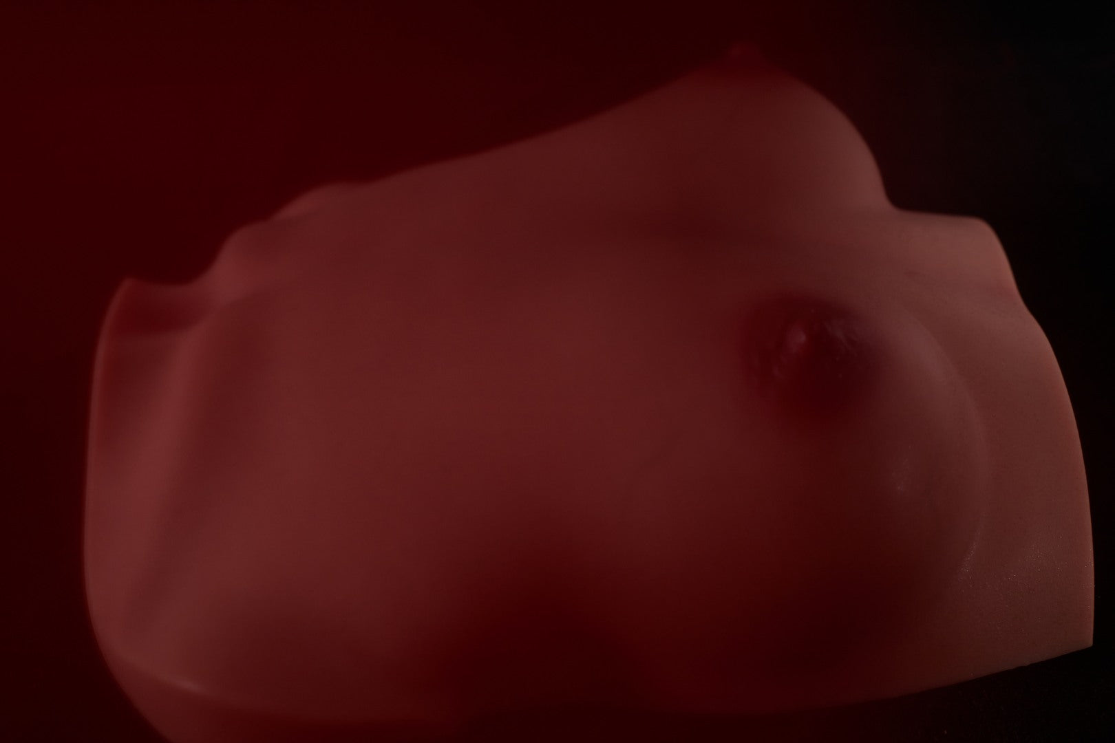 Brüste (en) Torso sexpuppe (Climax Doll Pro B-cup Silikon)