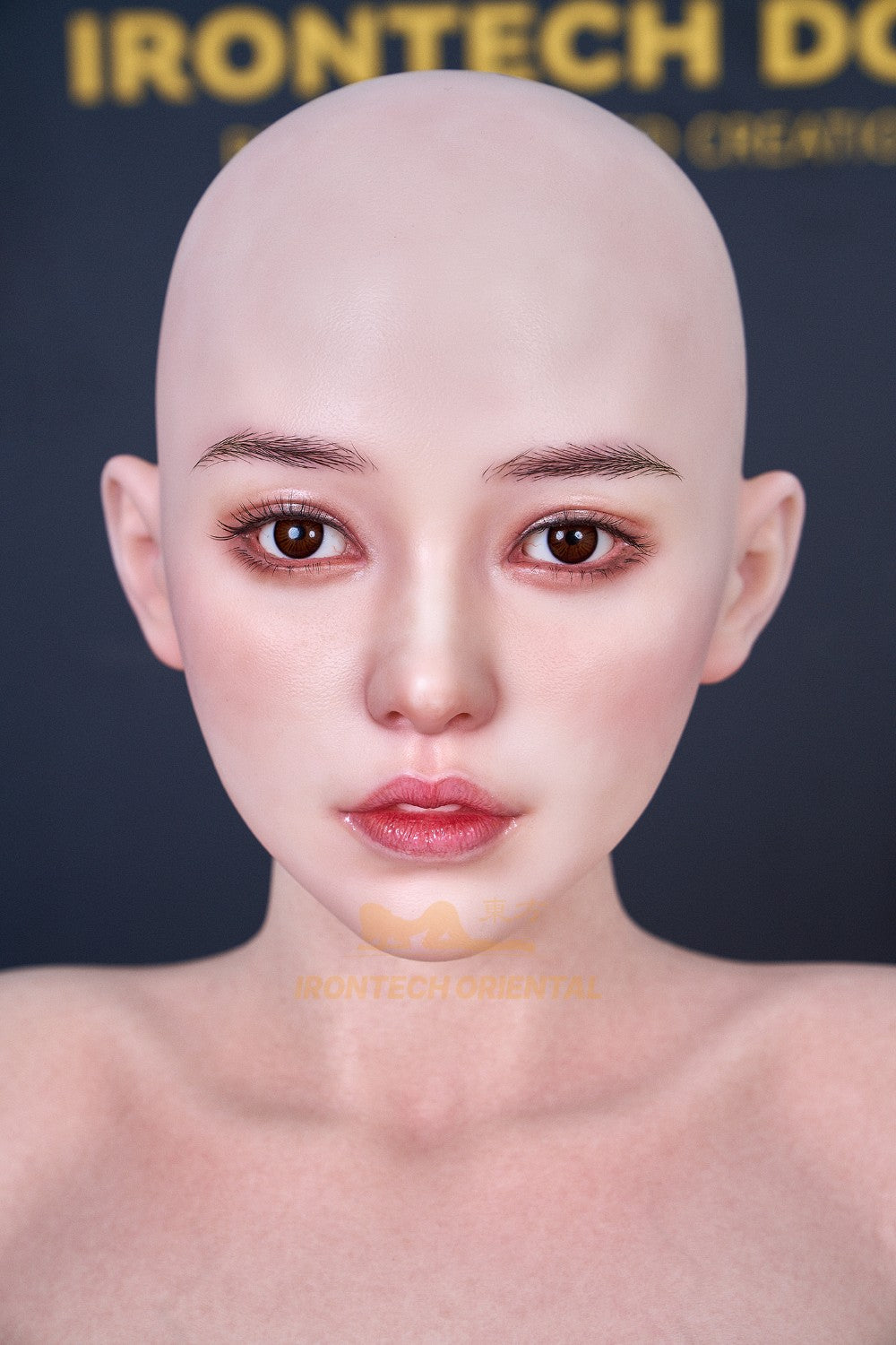 Eileen Sexdocka (Irontech Doll 158cm F-kupa S40 RST Silikon)