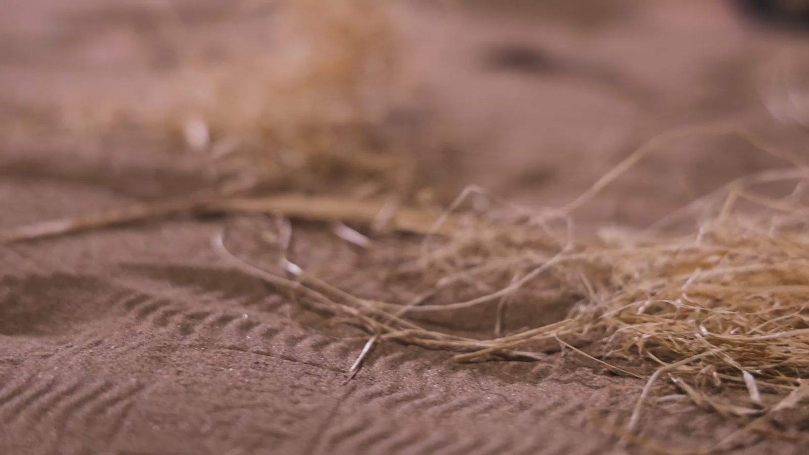 Die Insel sexpuppe (Dolls Castle 156cm E-cup #A1 TPE)