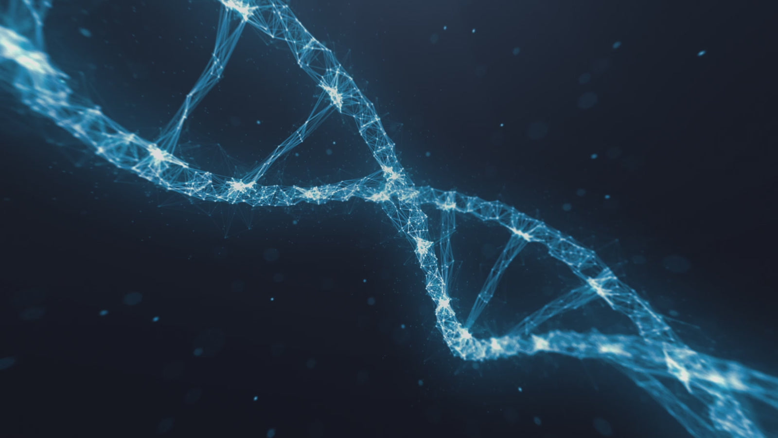 Cynthia sexpuppe (XT Doll 164 cm C-cup #XT-3 Silikon)